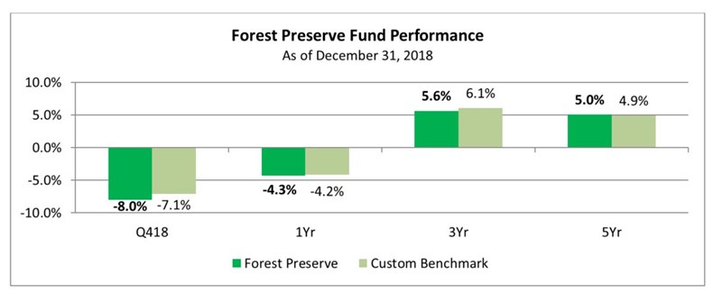 FPPerformance18q4